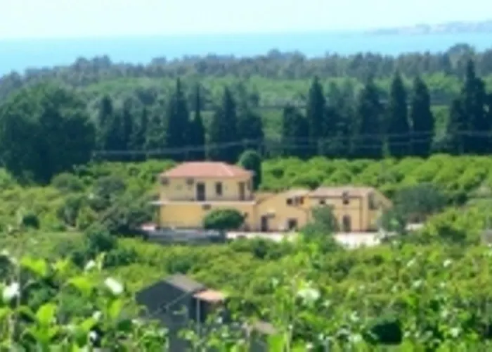 Oasi Del Fiumefreddo *